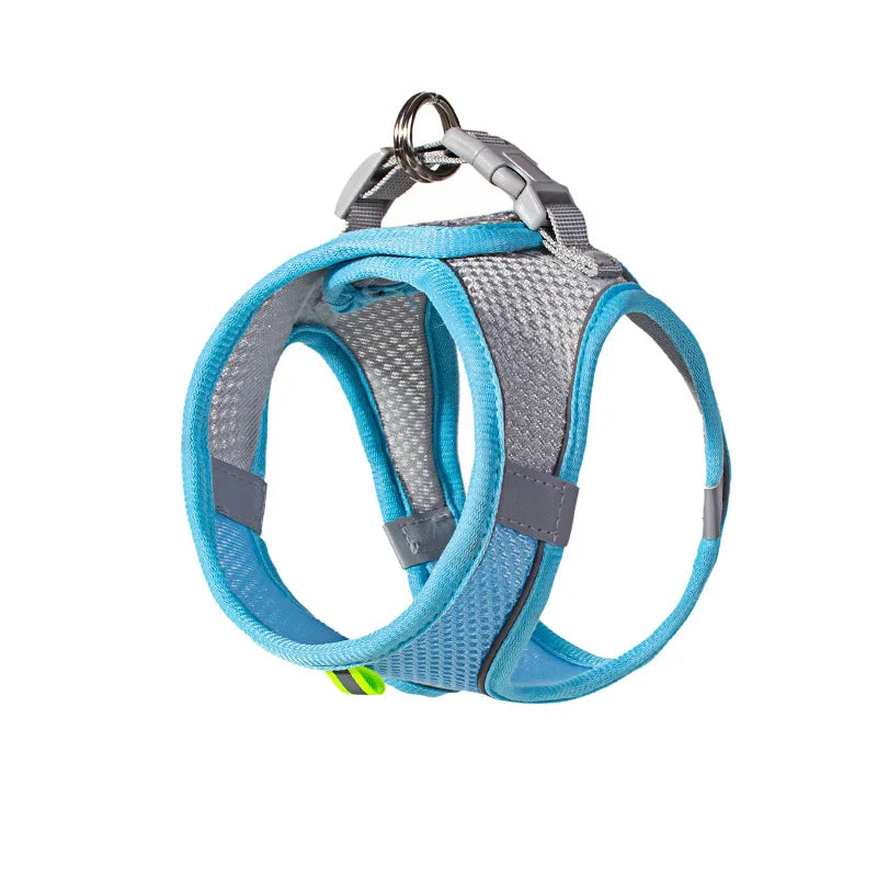 Puppy Harness Set