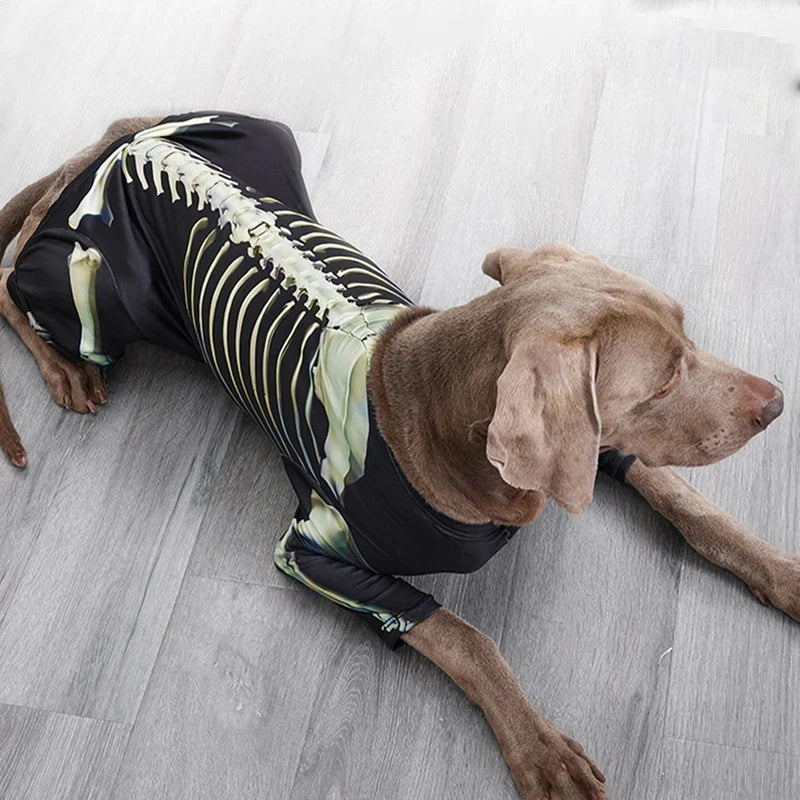 Pet Skeleton Halloween Costume 🐶