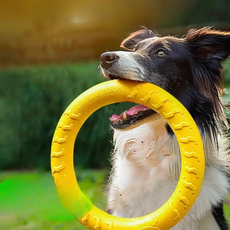 Dog Ring Toys