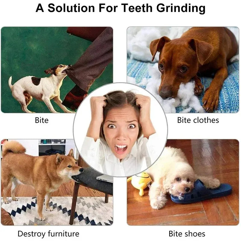 Pet Food Treat Feeder Chew Tooth Cleaning Ball