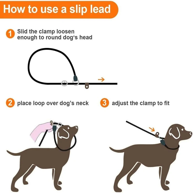 Dog Slip Lead for Small Medium Large Dogs