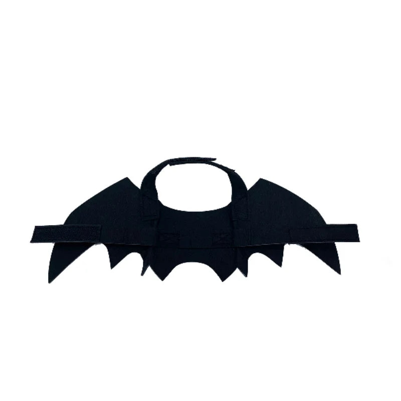 Cute Bat Halloween Costume 🐶🐱