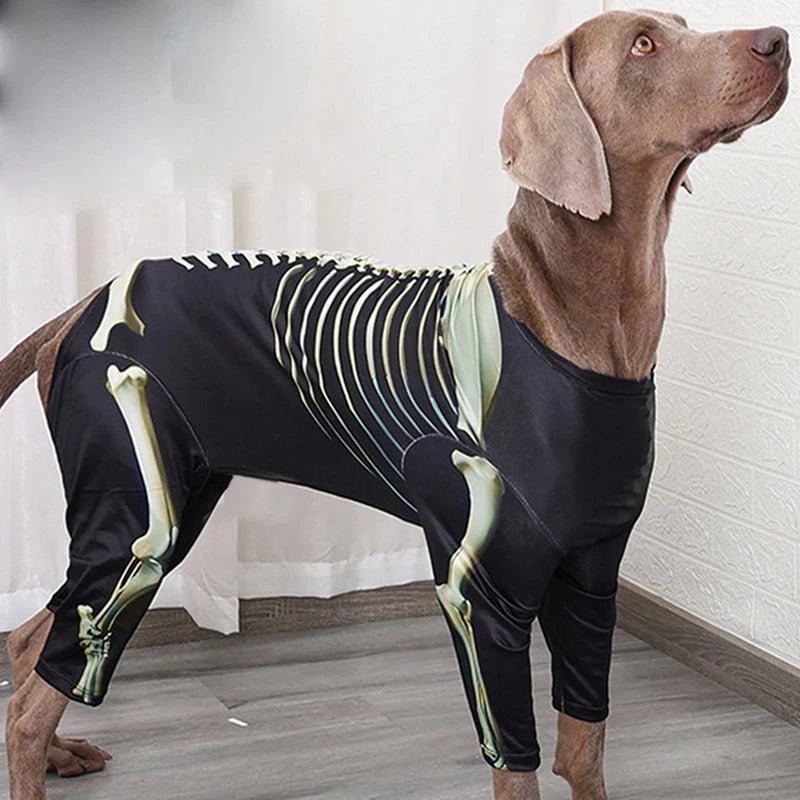 Pet Skeleton Halloween Costume 🐶