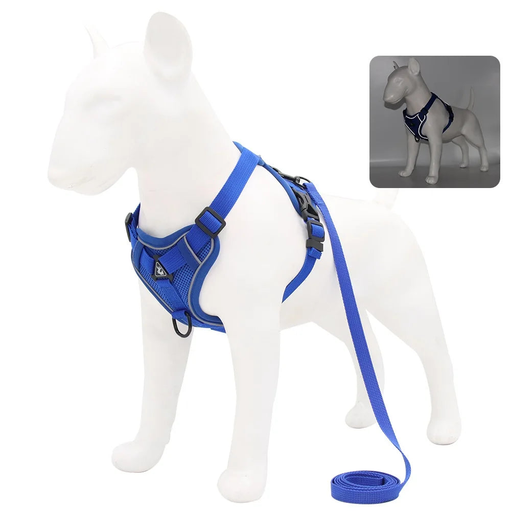Harness and Leash Set