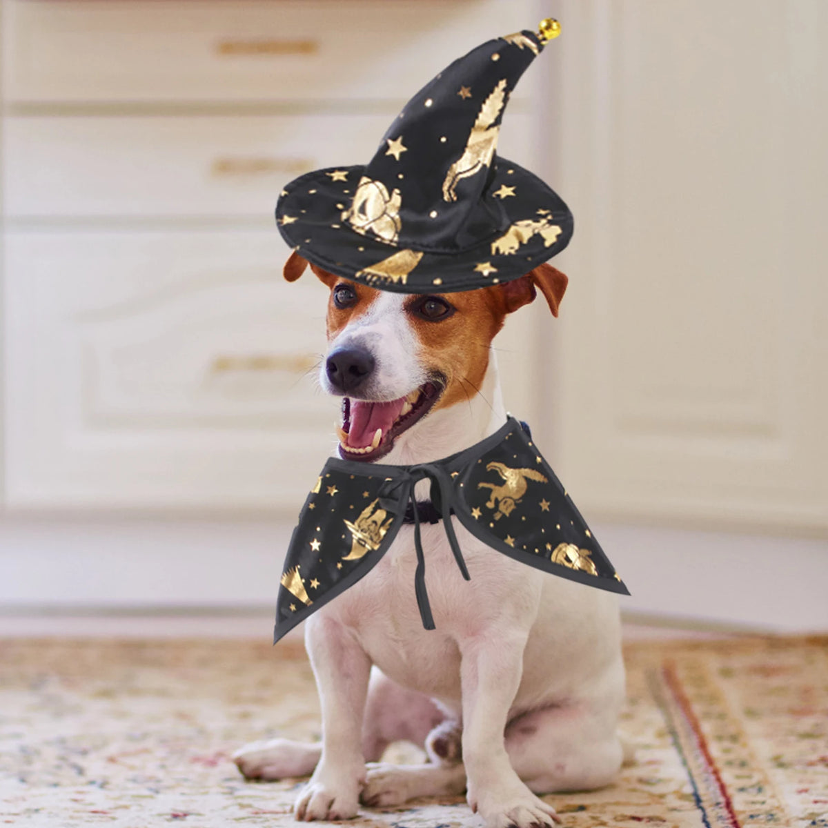 Wizard/Witch Halloween Costume 🐶🐱