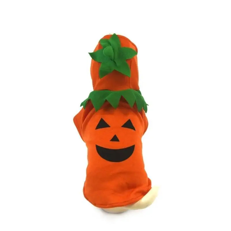 Halloween Pumpkin Costume for All Sizes