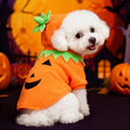 Halloween Pumpkin Pet Costume 🐶🐱