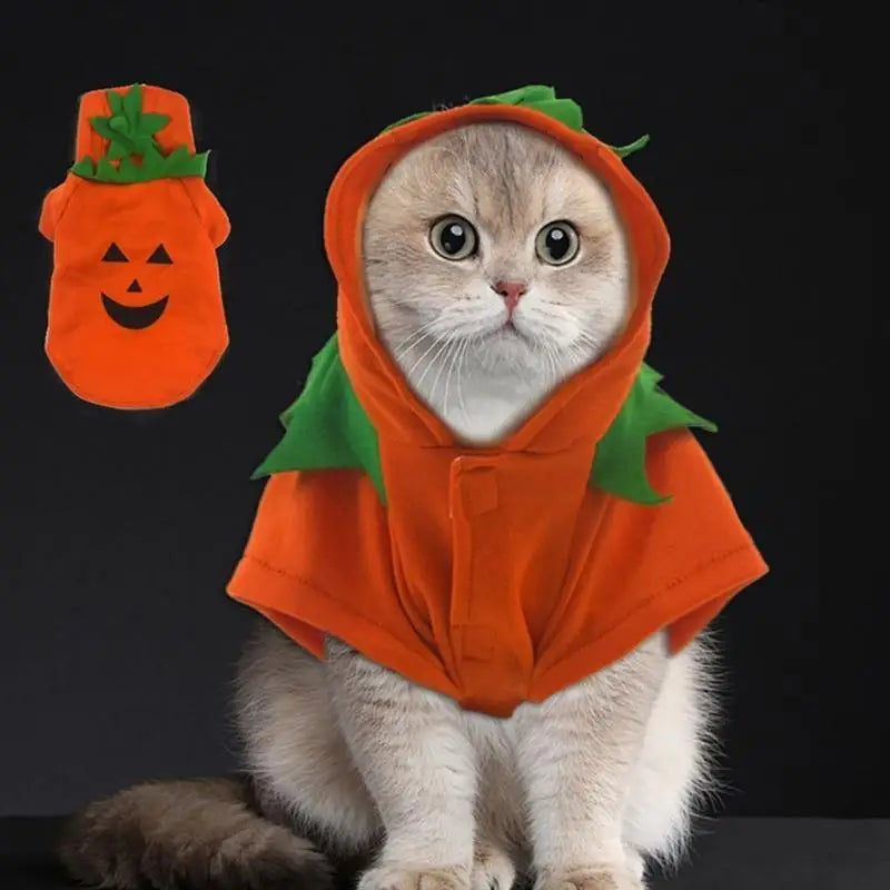 Halloween Pumpkin Costume for All Sizes