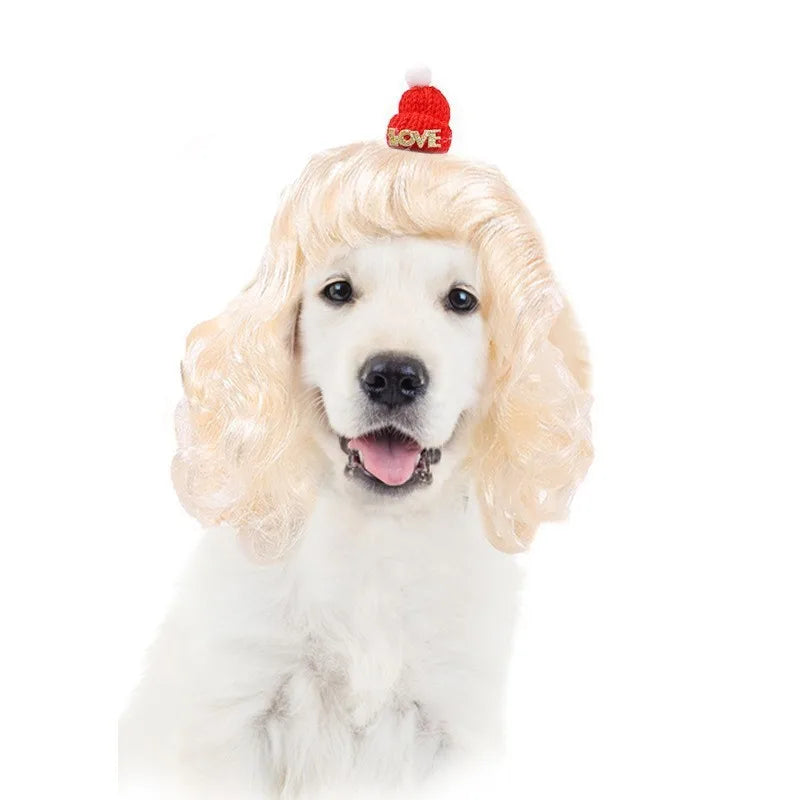 Pet Wigs 🐶🐱