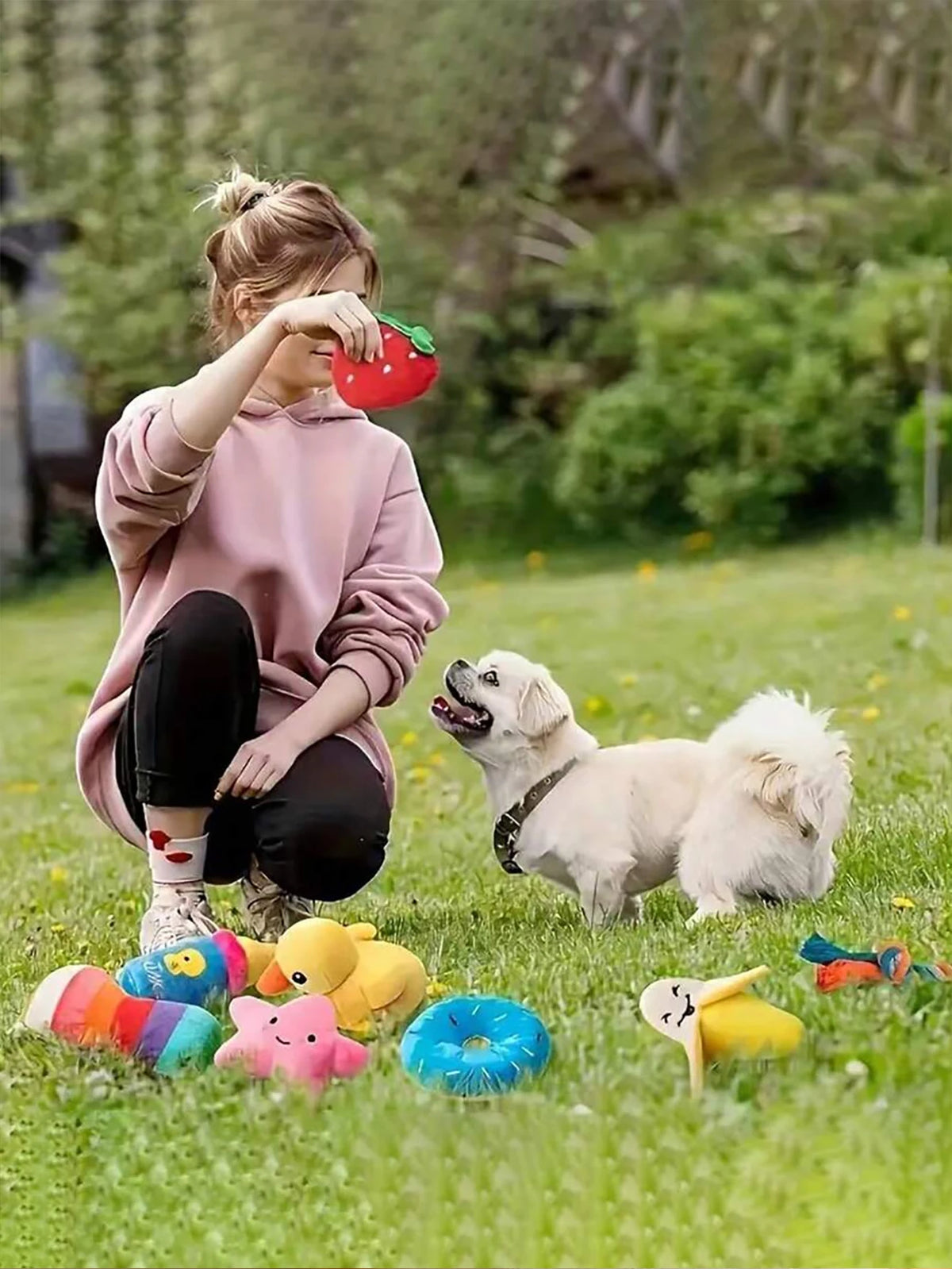 2/4/6/14-piece set of cartoon dog toys, suitable for small dogs