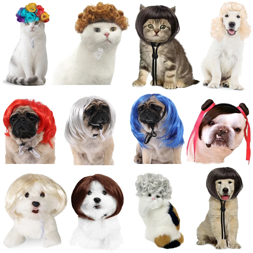 Pet Wigs 🐶🐱