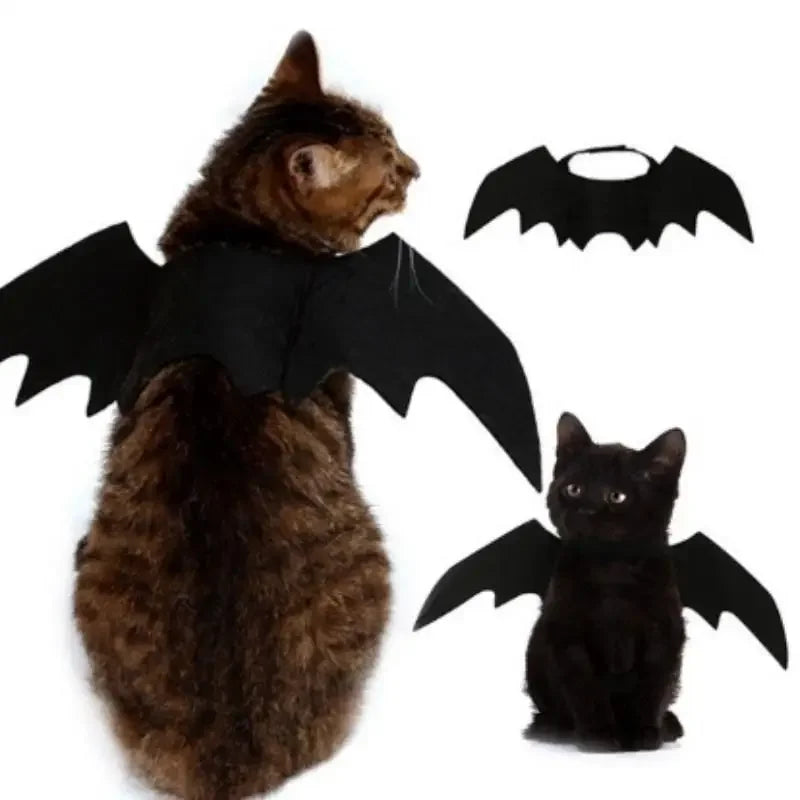 Cute Bat Halloween Costume 🐶🐱