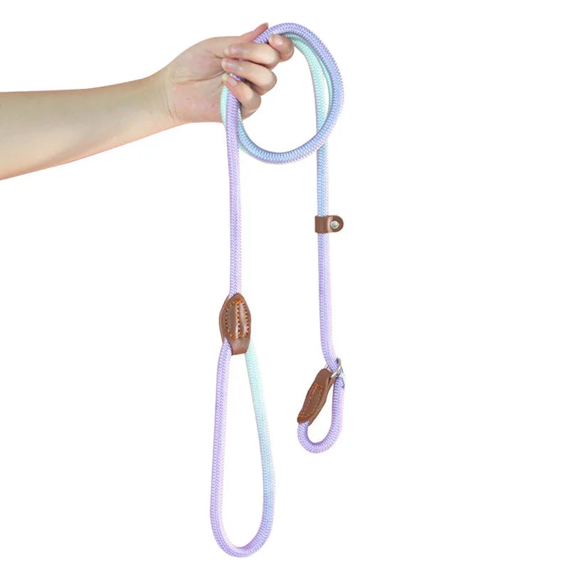 Dog Slip Lead for Small Medium Large Dogs