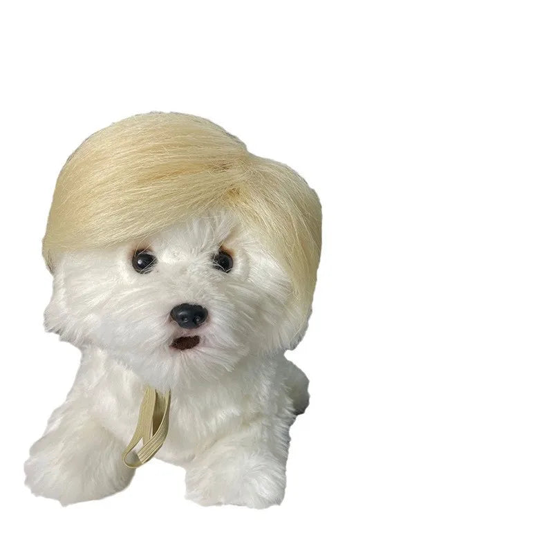 Pet Wigs 🐶🐱