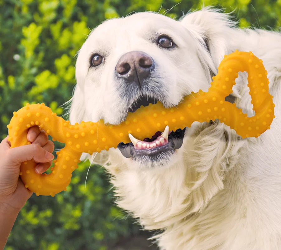 Large Dog Chew Toy