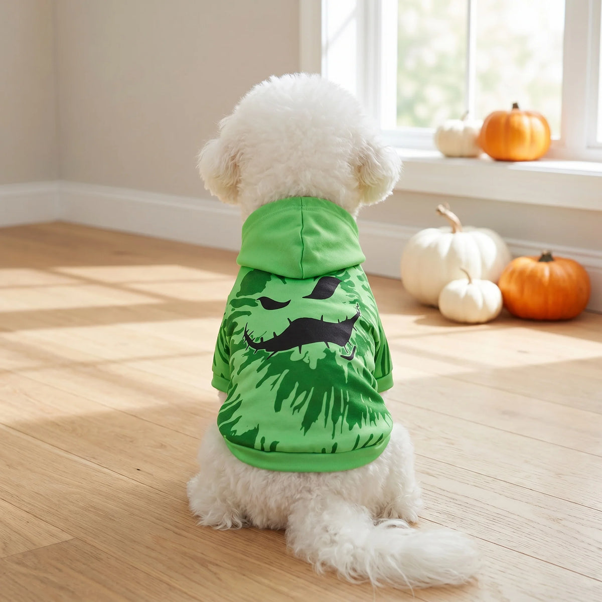 🎃 Scary Pumpkin Hoodie 🐶🐱