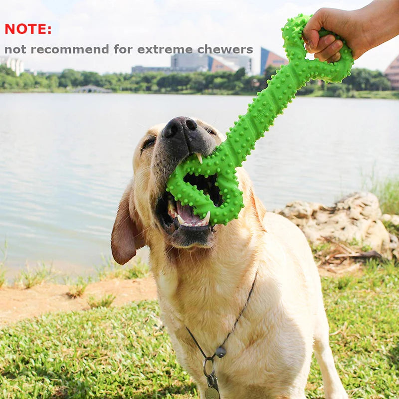 Large Dog Chew Toy