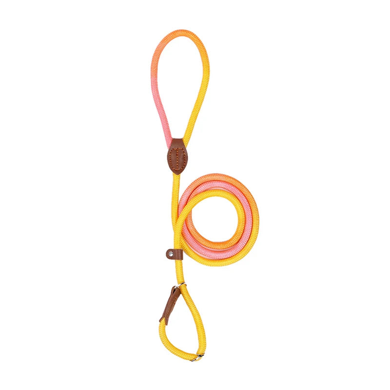 Dog Slip Lead for Small Medium Large Dogs