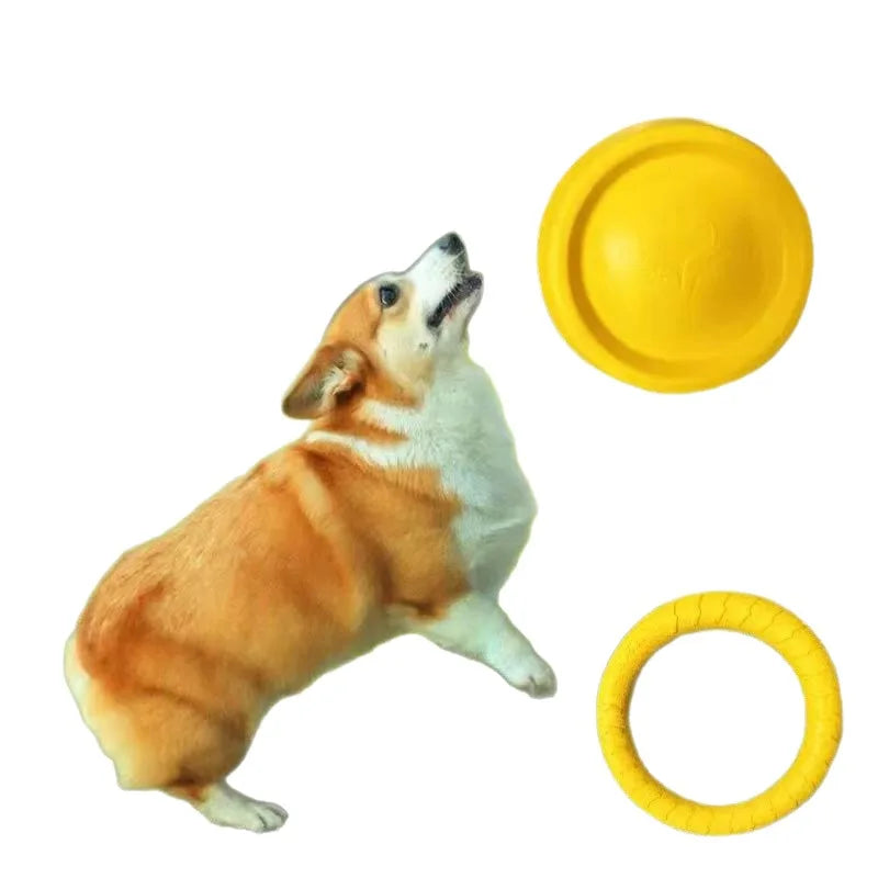 Dog Ring Toys