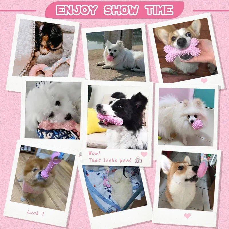 Dog Chew Toys for Cleaning Teeth
