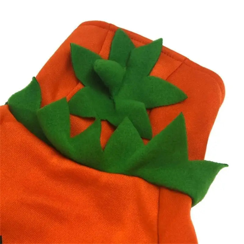 Halloween Pumpkin Costume for All Sizes