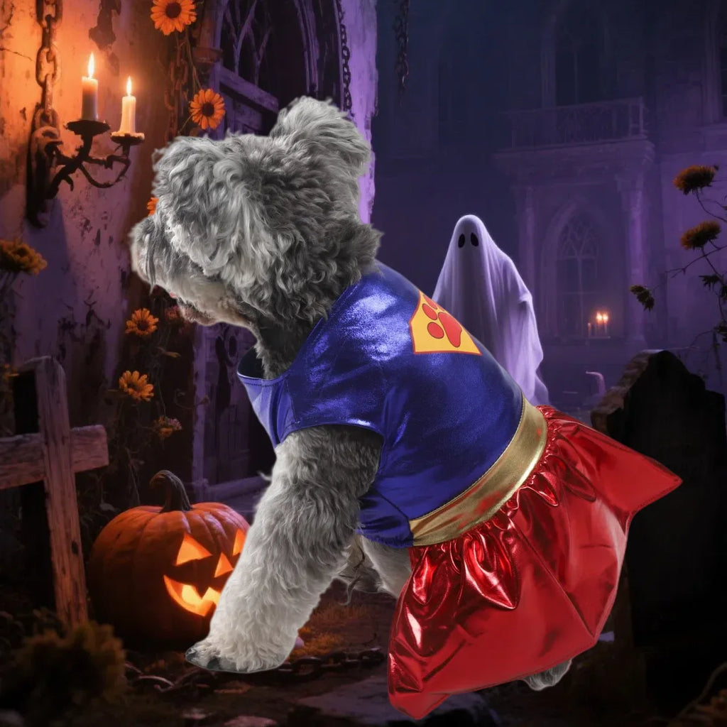 Pet Halloween Costume 🐶🐱