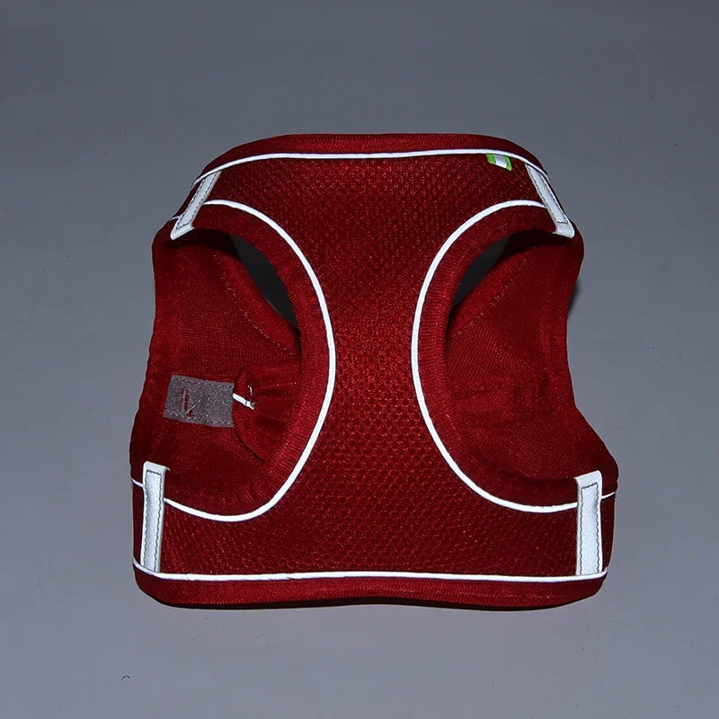 Puppy Harness Set