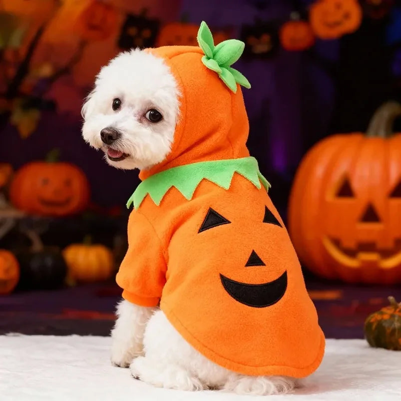 Halloween Pumpkin Pet Costume 🐶🐱