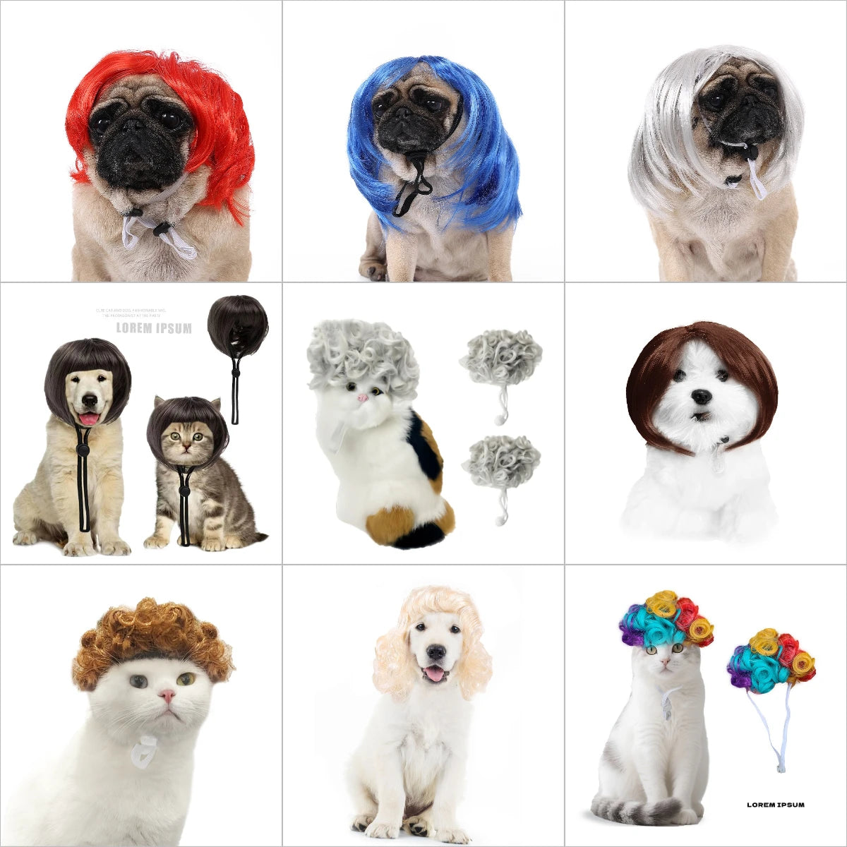 Pet Wigs 🐶🐱