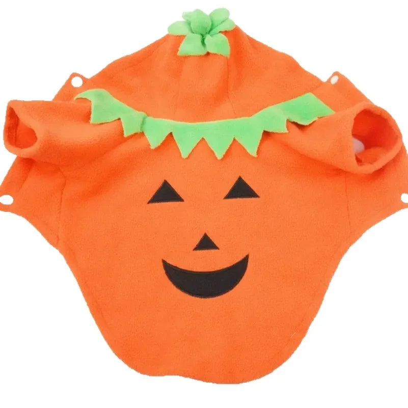 Halloween Pumpkin Pet Costume 🐶🐱