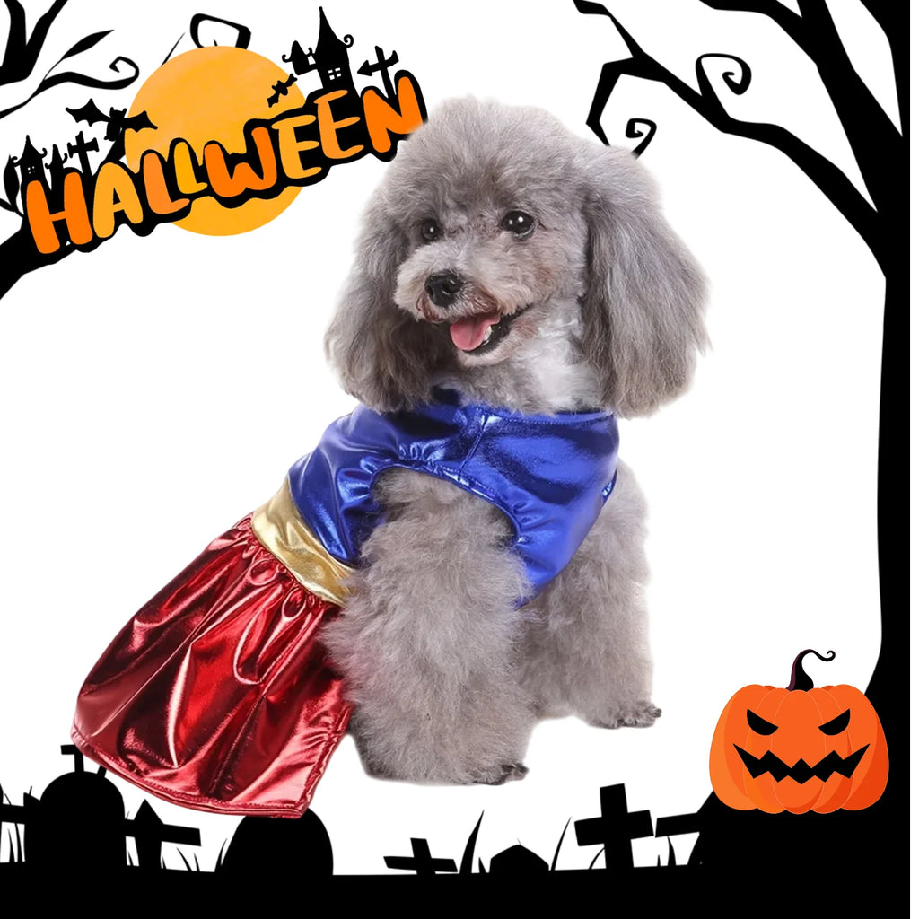 Pet Halloween Costume 🐶🐱