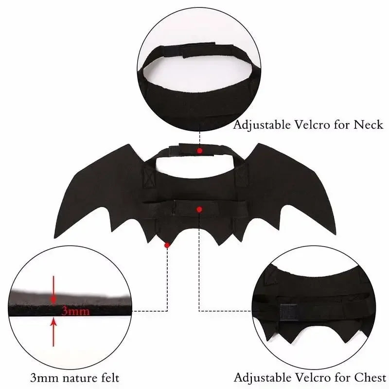 Cute Bat Halloween Costume 🐶🐱