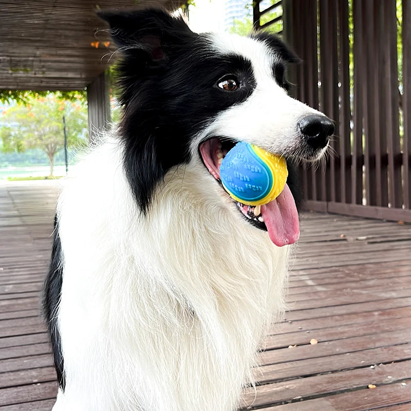 Dogs Teeth Cleaning Bite Resistance Squeaky Dog Ball