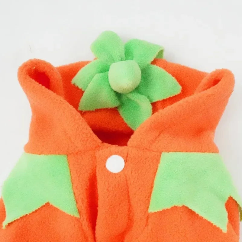 Halloween Pumpkin Pet Costume 🐶🐱