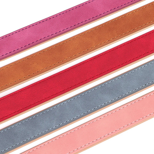 4ft Dog PU Leather Lead