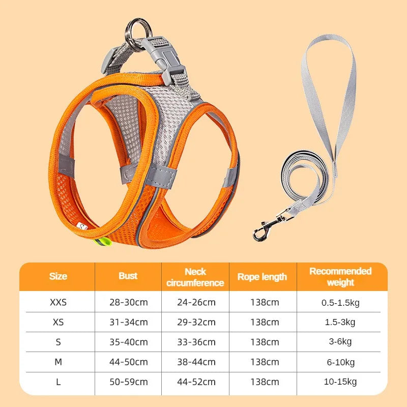 Puppy Harness Set