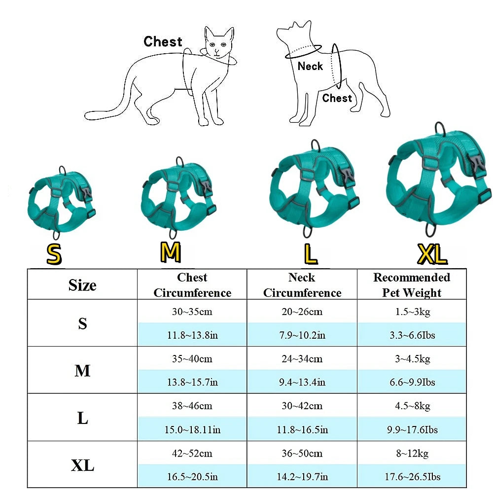 Harness and Leash Set