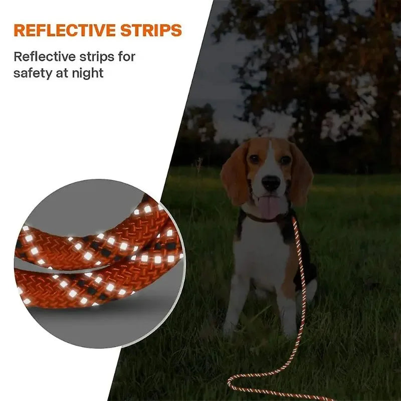 Dog Training Lead 5m 10m 15m