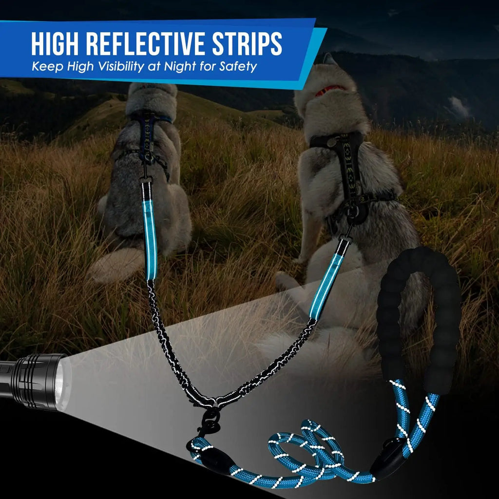 No Tangle Double Dog Lead