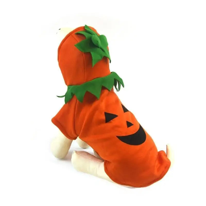 Halloween Pumpkin Costume for All Sizes