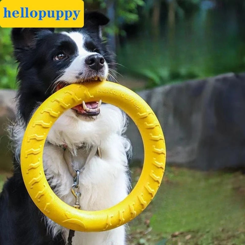 Dog Ring Toys