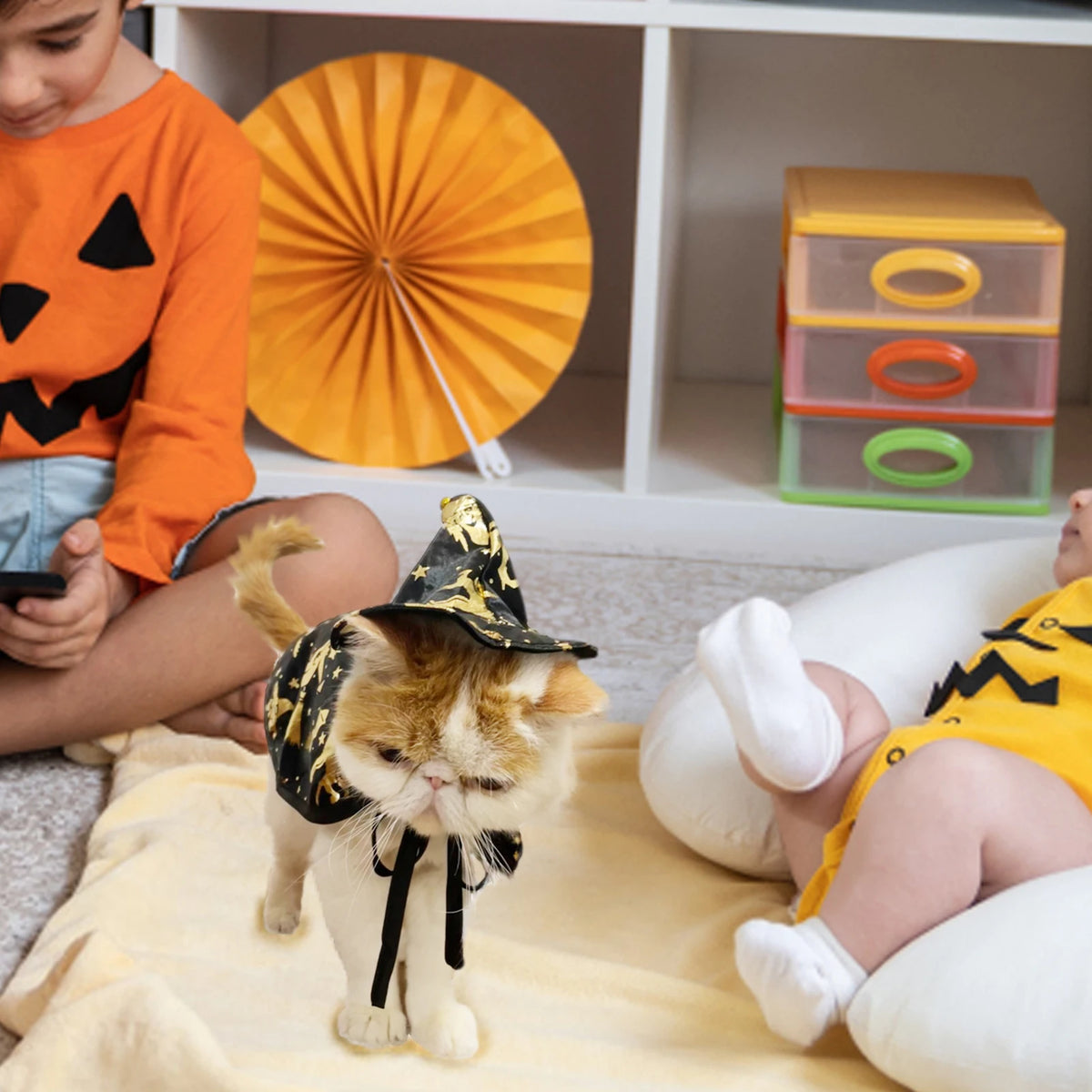 Wizard/Witch Halloween Costume 🐶🐱