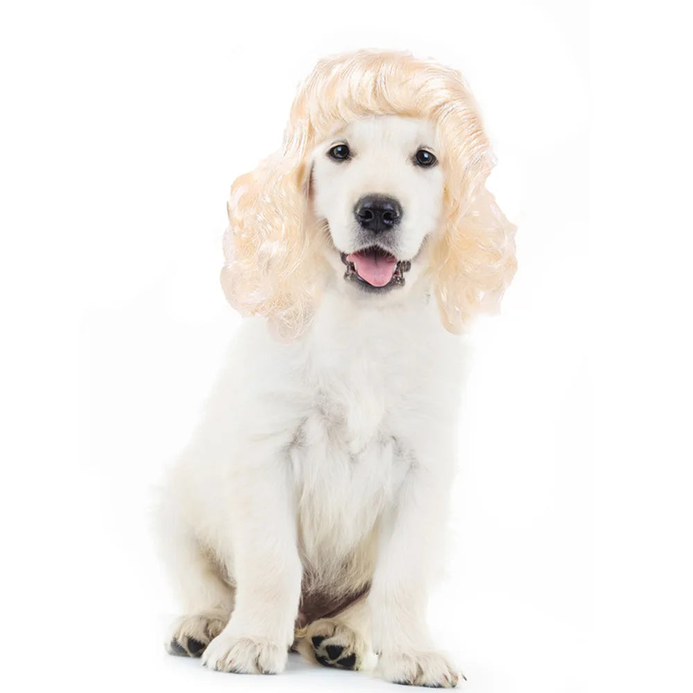Pet Wigs 🐶🐱