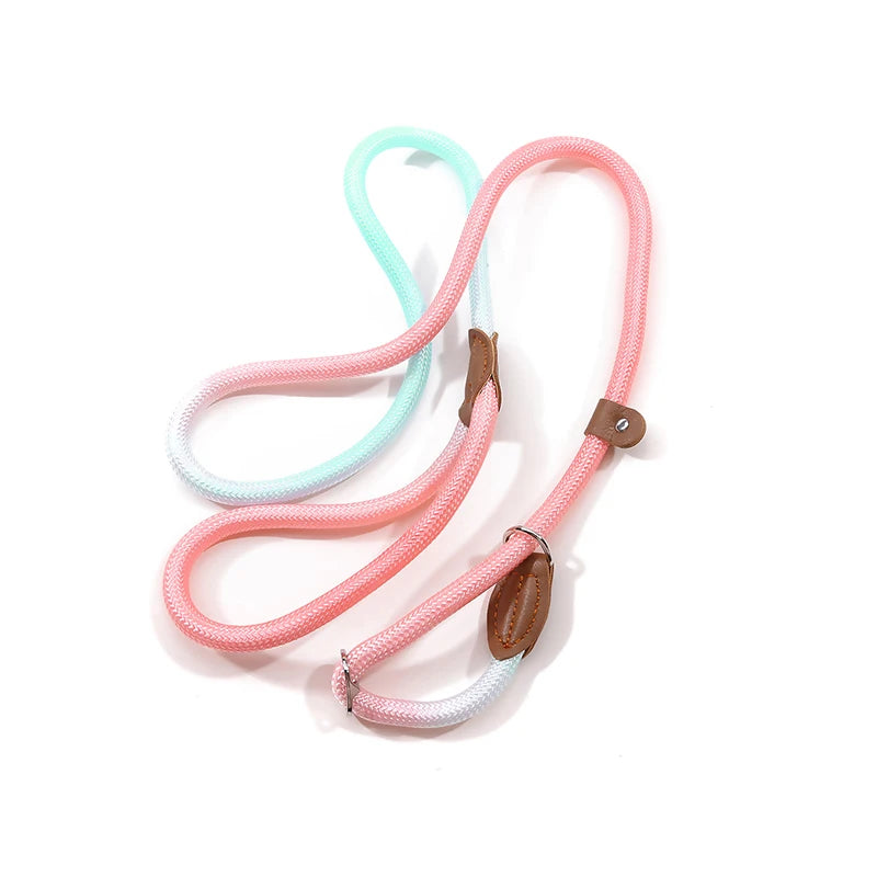 Dog Slip Lead for Small Medium Large Dogs