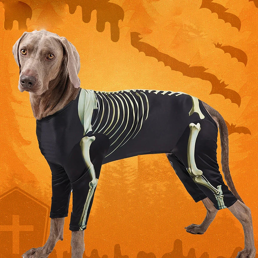 Pet Skeleton Halloween Costume 🐶