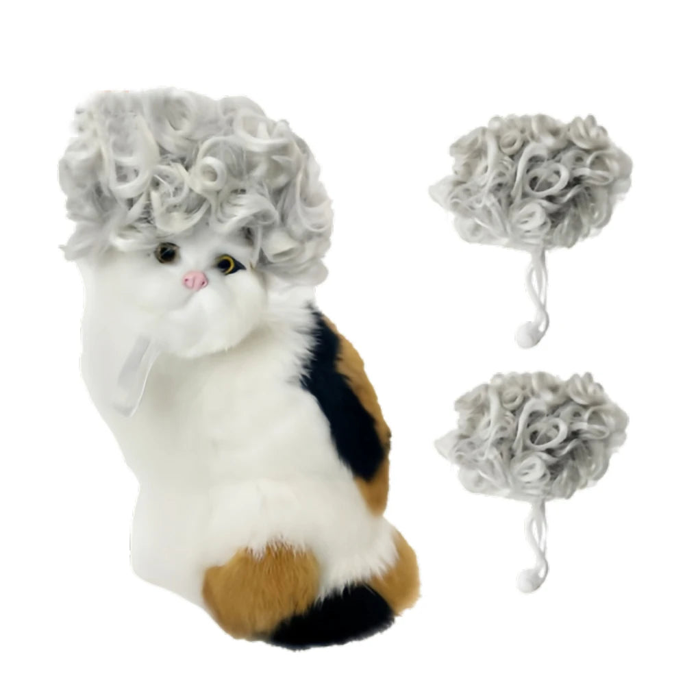 Pet Wigs 🐶🐱