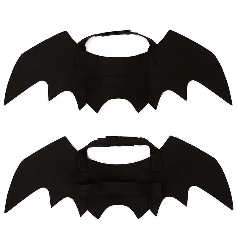 Cute Bat Halloween Costume 🐶🐱
