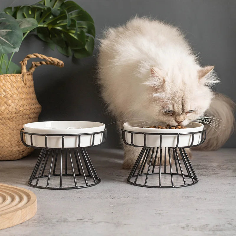 PawHaus Elevated Slow Feeder Bowl – Ceramic Maze Bowl for Dogs & Cats