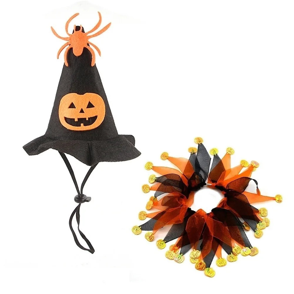 Pumpkin Halloween Cat Costume 🐱