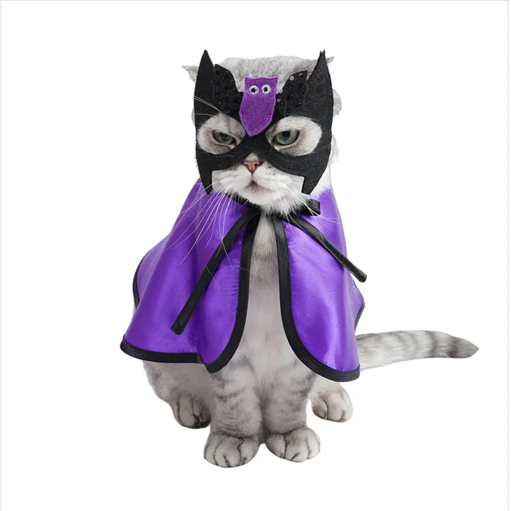 Halloween Costume 🐶🐱
